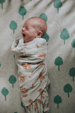 Swaddle