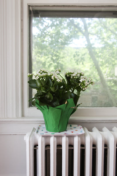 tray - watercolor characters